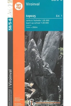 Viroinval-NGI Online