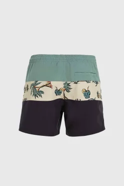 Hot O'Neill Zwemshort Mix & Match Cali Block 15'' Beige Venice Beach