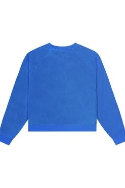 Sale Picture Organic Clothing Trui Tiloma Crew D Skydiver