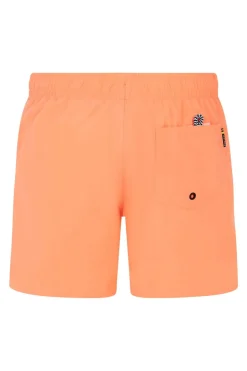 Culture-Protest Discount