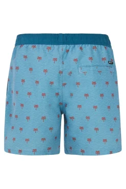 Online Protest Zwemshort Parco Dusty Blue