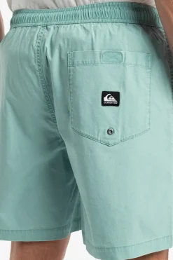 Online Quiksilver Short Taxer Ws Aquifer