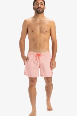 Zwemshort Everyday Deluxe Volley 15-Quiksilver Discount