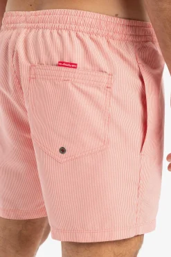 Zwemshort Everyday Deluxe Volley 15-Quiksilver Discount