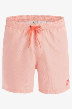 Zwemshort Everyday Deluxe Volley 15-Quiksilver Discount