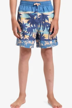 Discount Quiksilver Zwemshort Everyday Straight Volley Yth14 Coronet Blue Tropicamo