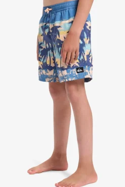 Discount Quiksilver Zwemshort Everyday Straight Volley Yth14 Coronet Blue Tropicamo