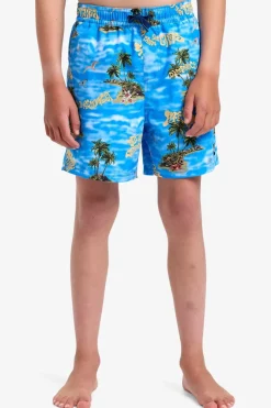 Zwemshort Everyday Straight Volley Yth14-Quiksilver New