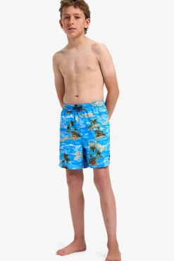 Zwemshort Everyday Straight Volley Yth14-Quiksilver New