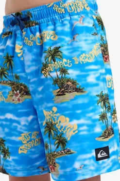 Zwemshort Everyday Straight Volley Yth14-Quiksilver New