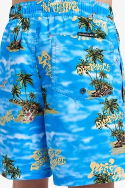 Zwemshort Everyday Straight Volley Yth14-Quiksilver New