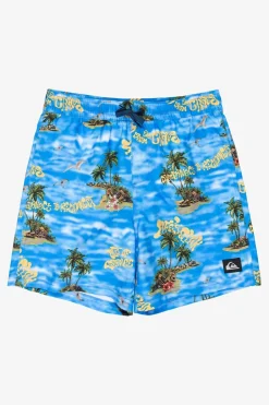 Zwemshort Everyday Straight Volley Yth14-Quiksilver New