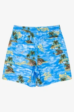 Zwemshort Everyday Straight Volley Yth14-Quiksilver New