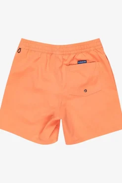 Zwemshort Everyday Solid Volley Yth 14-Quiksilver New
