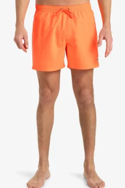 Zwemshort Everyday Solid Volley 15In-Quiksilver Fashion