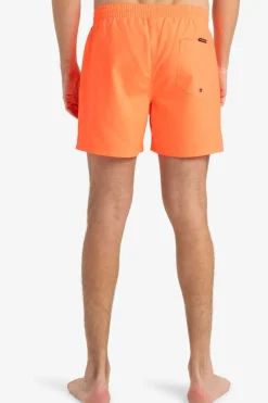 Zwemshort Everyday Solid Volley 15In-Quiksilver Fashion