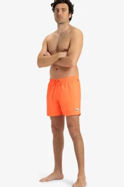 Zwemshort Everyday Solid Volley 15In-Quiksilver Fashion