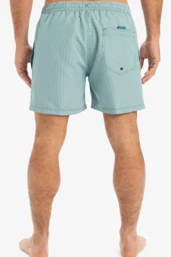 Fashion Quiksilver Zwemshort Everyday Deluxe Volley 15 Teal Green