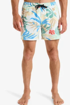 Fashion Quiksilver Zwemshort Surfsilk Solid Volley 16 White Blueweed