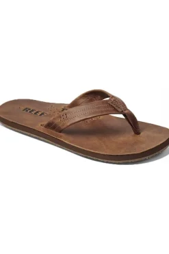 Slipper Draftsmen-Reef Hot