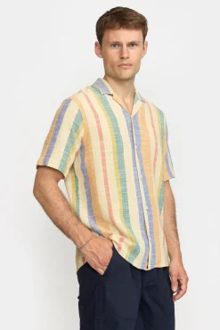 3918-Revolution Online