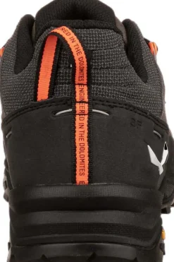 Wandelschoenen Alp Trainer 2 M-Salewa New