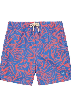 Best Shiwi Zwemshort Milo 4 Inch Starfish Blue Azure Starfish