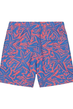 Best Shiwi Zwemshort Milo 4 Inch Starfish Blue Azure Starfish
