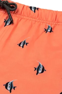 Zwemshort Moorish Idol-Shiwi Outlet