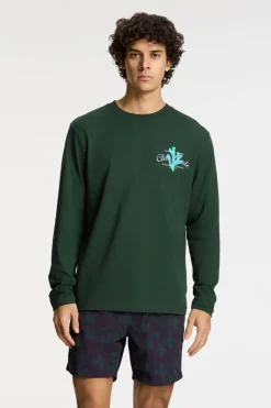 Fashion Shiwi Zwemshort Nick Quick Dry 6 Inch Birds Purple Rock Graphic Birds