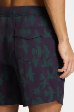 Fashion Shiwi Zwemshort Nick Quick Dry 6 Inch Birds Purple Rock Graphic Birds