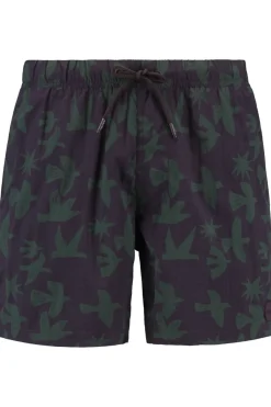Fashion Shiwi Zwemshort Nick Quick Dry 6 Inch Birds Purple Rock Graphic Birds