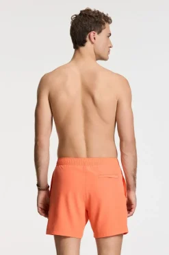 Zwemshort Scott Stretch 6 Inch Solid-Shiwi New