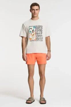 Zwemshort Scott Stretch 6 Inch Solid-Shiwi New