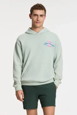 New Shiwi Zwemshort Scott Stretch 6 Inch Solid Green Leaf