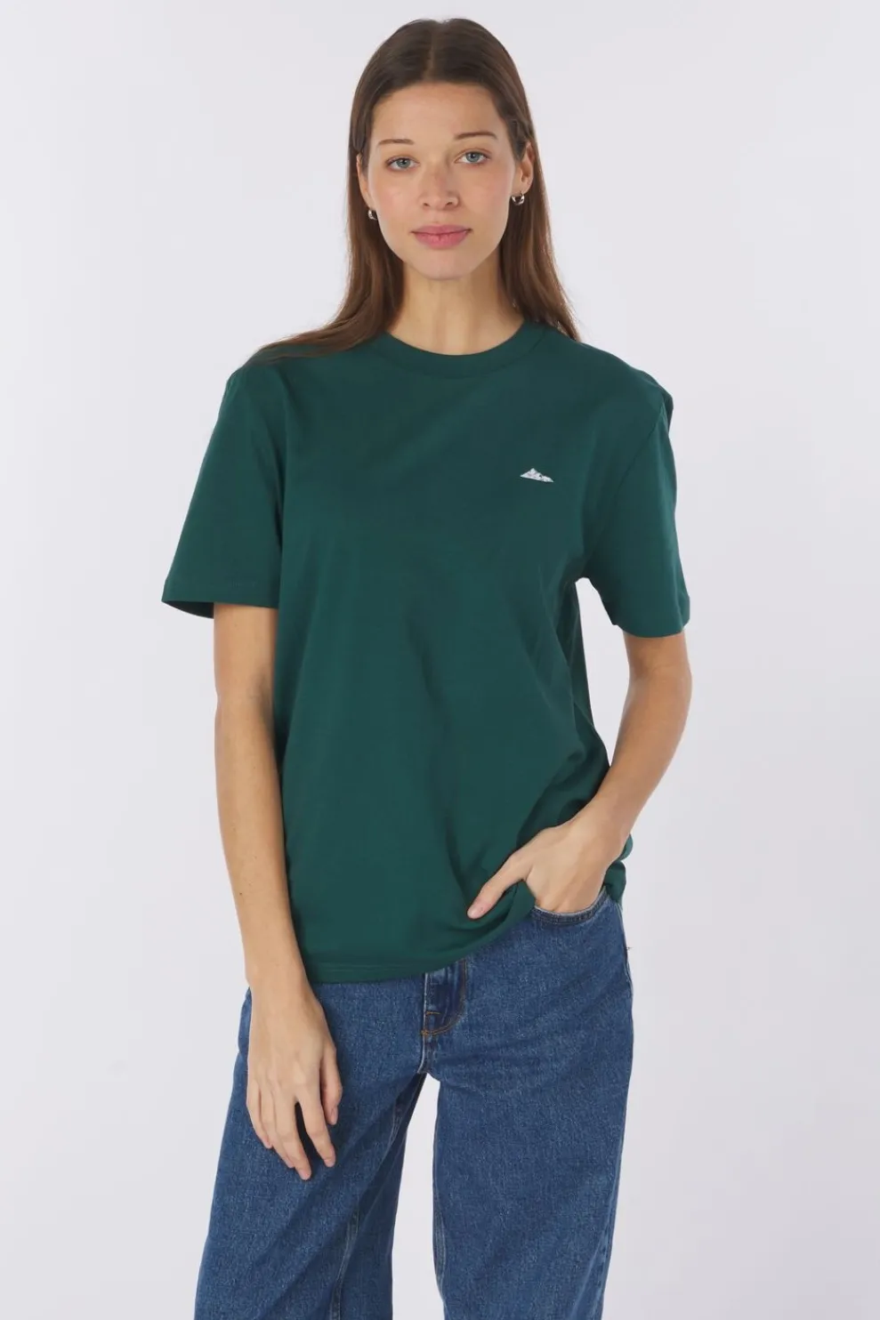 Discount STRØM T-Shirt Snowy Mountain Glaced Green