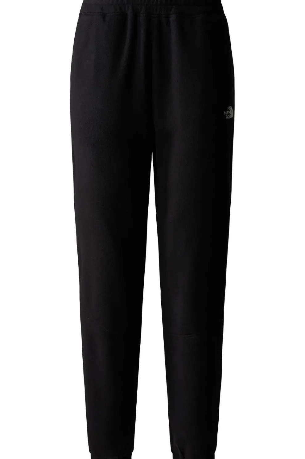 Broek W 100 Glacier Jogger-The North Face Hot