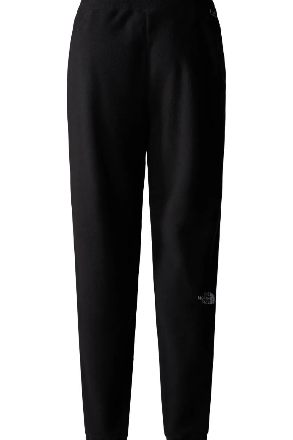 Broek W 100 Glacier Jogger-The North Face Hot