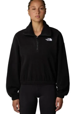 Fleece 100 Glacier Half Zip-The North Face Outlet