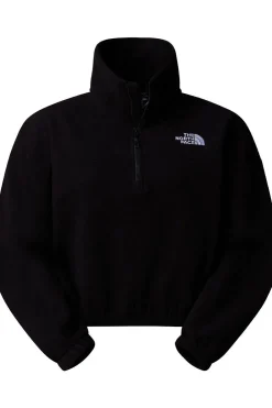 Fleece 100 Glacier Half Zip-The North Face Outlet