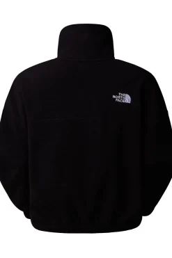 Fleece 100 Glacier Half Zip-The North Face Outlet