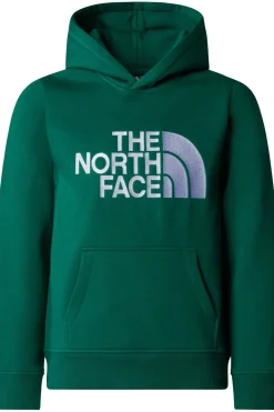 Trui B Drew Peak P/O Hoodie-The North Face Online