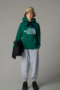 Trui B Drew Peak P/O Hoodie-The North Face Online