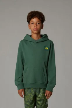 Outlet The North Face Trui Boy’S Graphic Relaxed Hoodie Duck Green