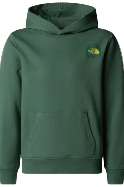 Outlet The North Face Trui Boy’S Graphic Relaxed Hoodie Duck Green