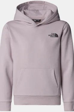 Sale The North Face Trui Teen Simple Dome Hoodie Moonstone Grey