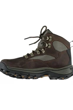 Wandelschoenen Chocorua Trail Gore-Tex-Timberland Outlet