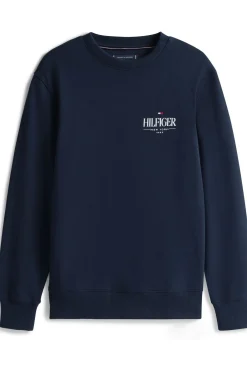 Outlet Tommy Hilfiger Trui Hilfiger Stacked Desert Sky